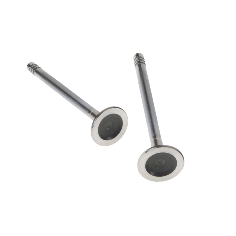 Katup Buang Mesin Womala 32249029 Katup Buang untuk Suku Cadang Otomotif Mesin Auto Parts XC90