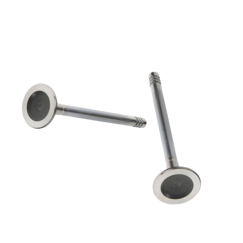 Katup Buang Mesin Womala 32249029 Katup Buang untuk Suku Cadang Otomotif Mesin Auto Parts XC90