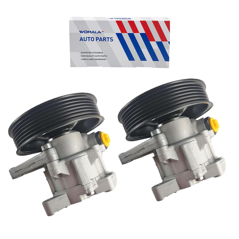 Pompa Power Steering Womala OE 0044668501 Referensi OEM untuk Suku Cadang Sistem Kemudi Mercedes Benz ML350