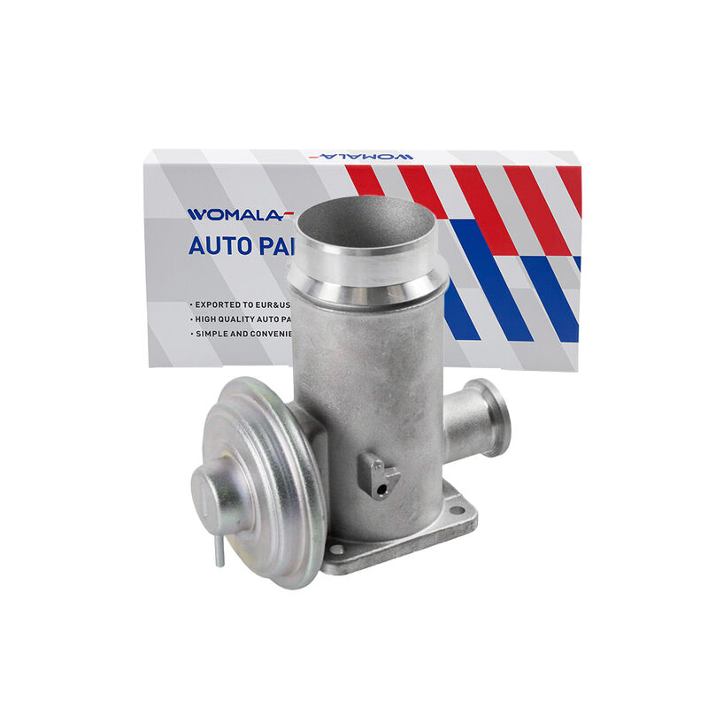 Katup Resirkulasi Gas Buang Suku Cadang Otomotif Womala OE 11717792077 Katup EGR untuk Bmw