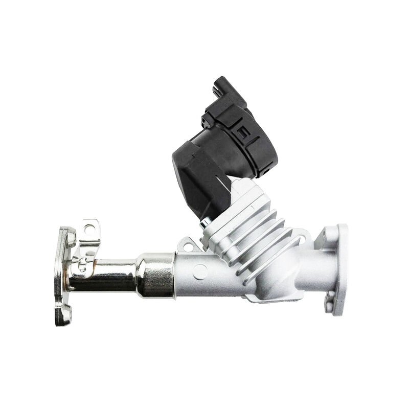 Katup EGR Womala Auto Parts 11717563241 11718479590 untuk Seri Bmw 1/3/5